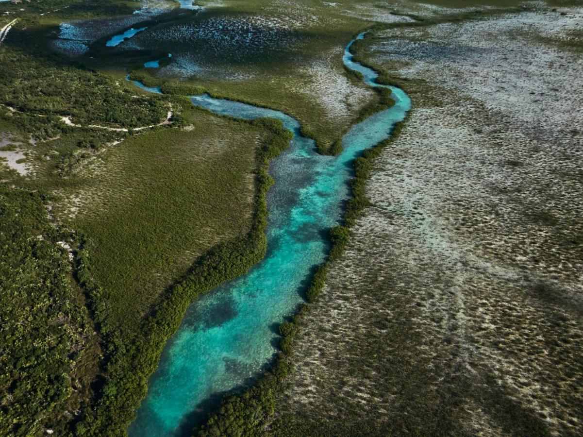 Como Parrot Cay Sandy Point Exteriör bild